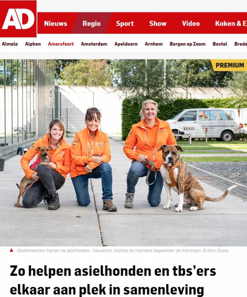 Artikel AD - Dutch Cell Dogs in OVK